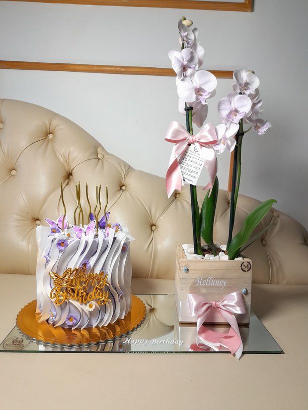 Kit parabéns: orquídea e bolo